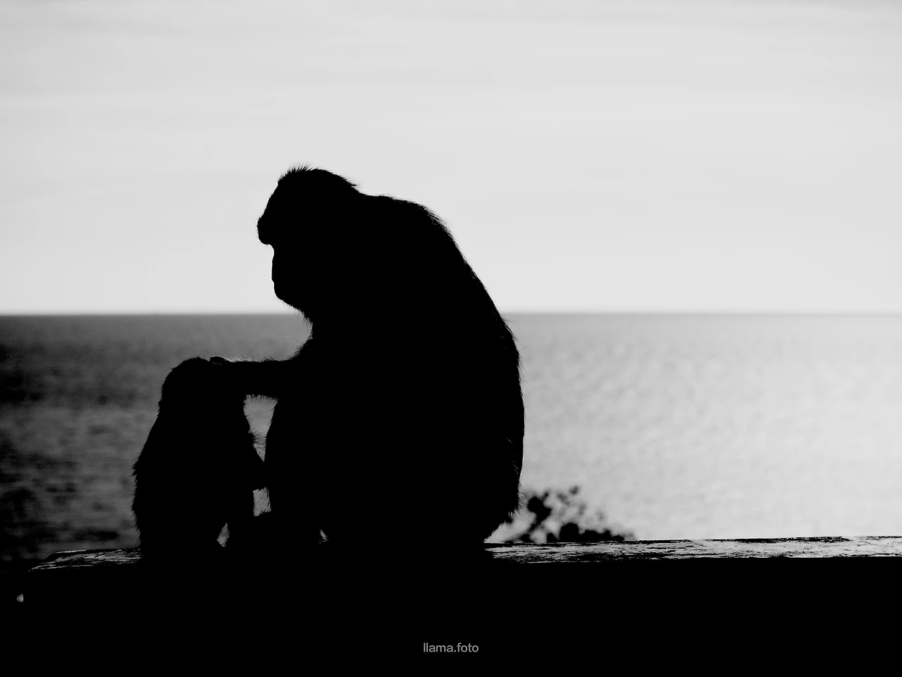 촌부리 브런치.JPG