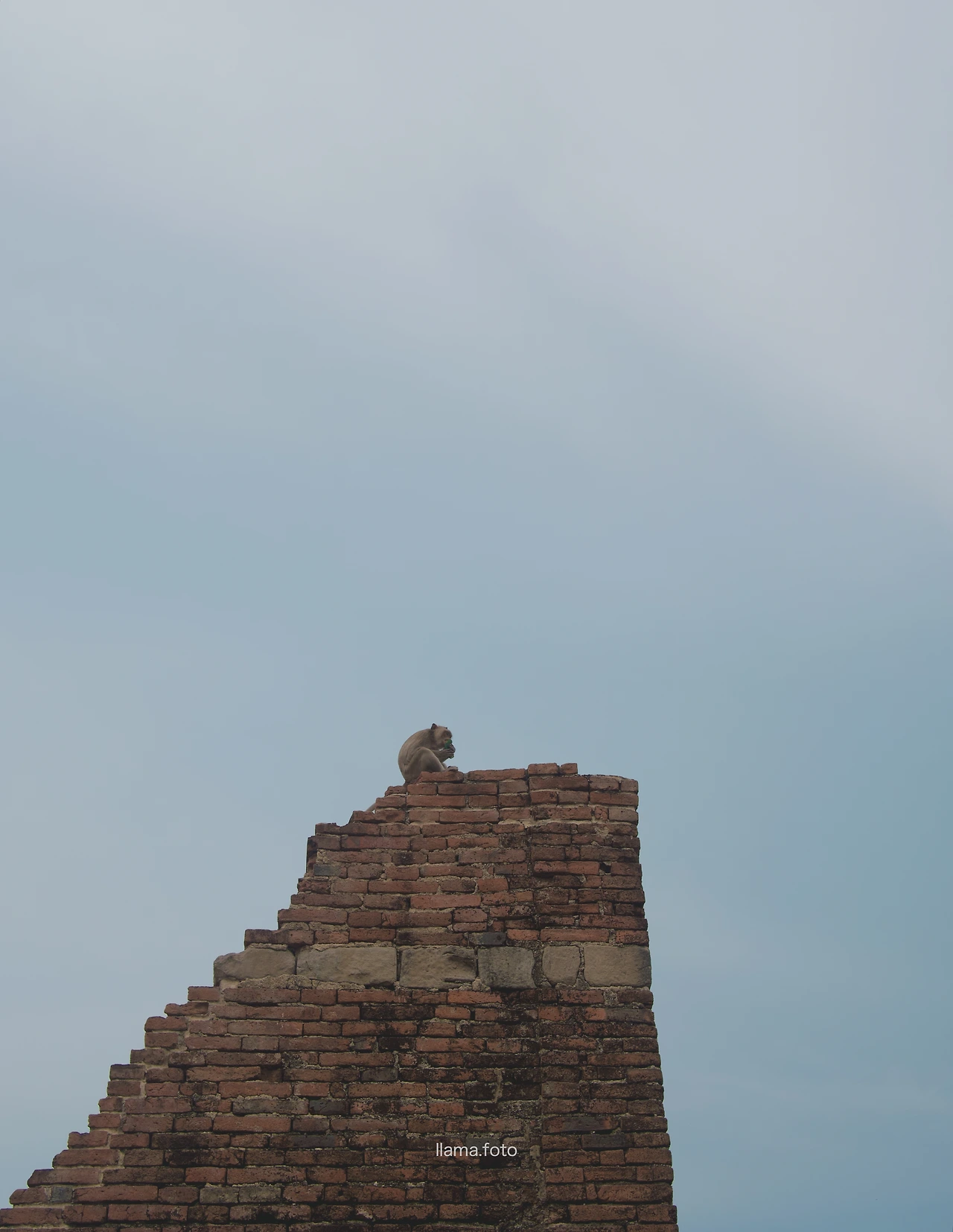 롭부리_타이로드 전용-11.JPG