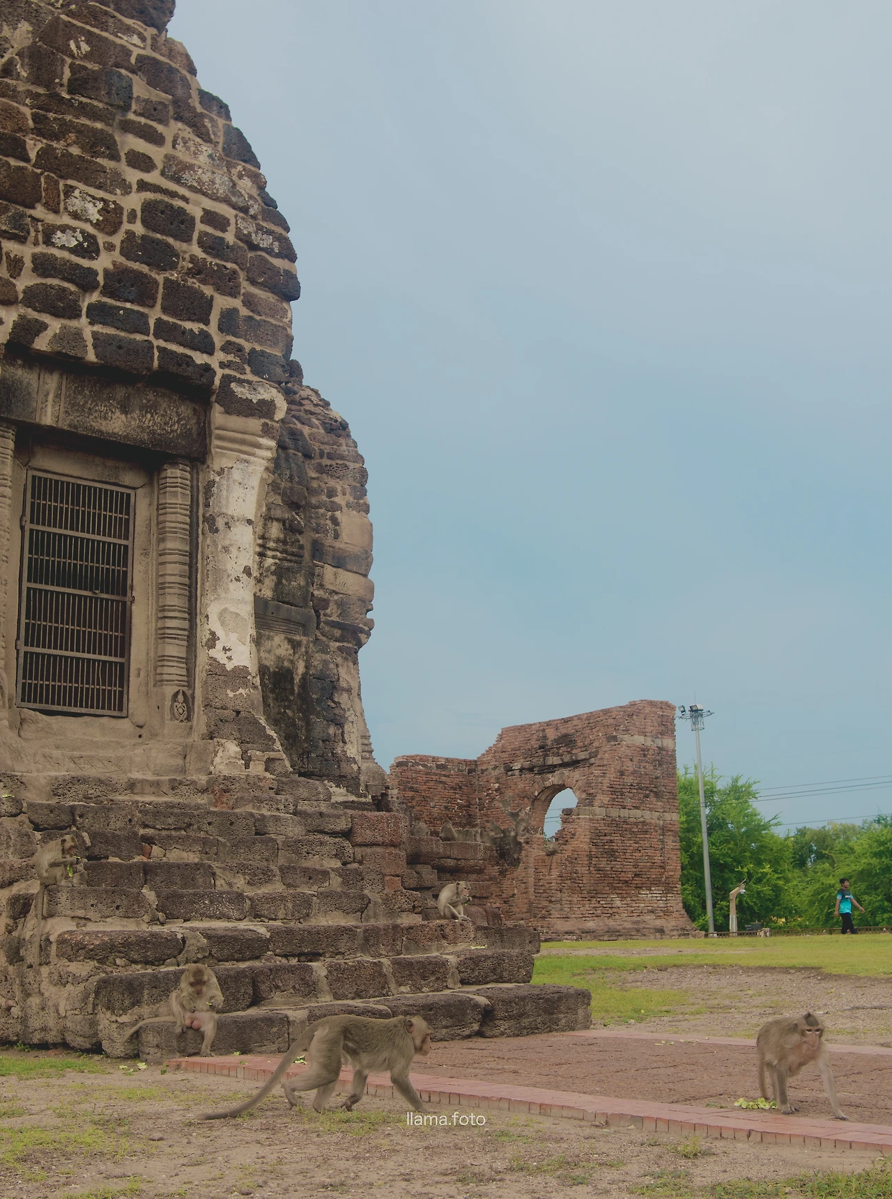 롭부리_타이로드 전용-21.JPG