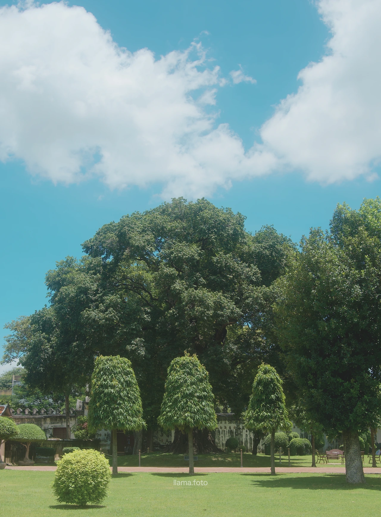 롭부리_타이로드 전용-46.JPG