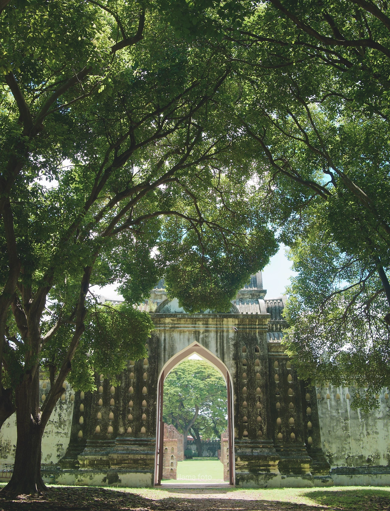 롭부리_타이로드 전용-6.JPG