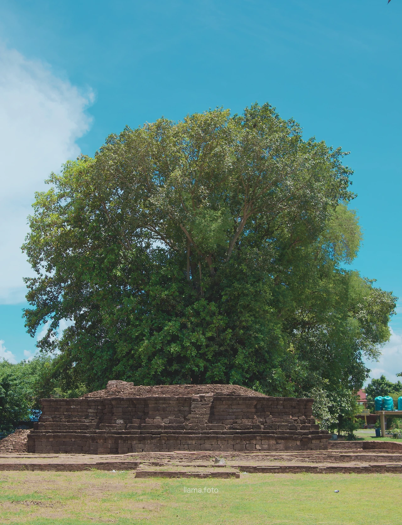 롭부리_타이로드 전용-49.JPG