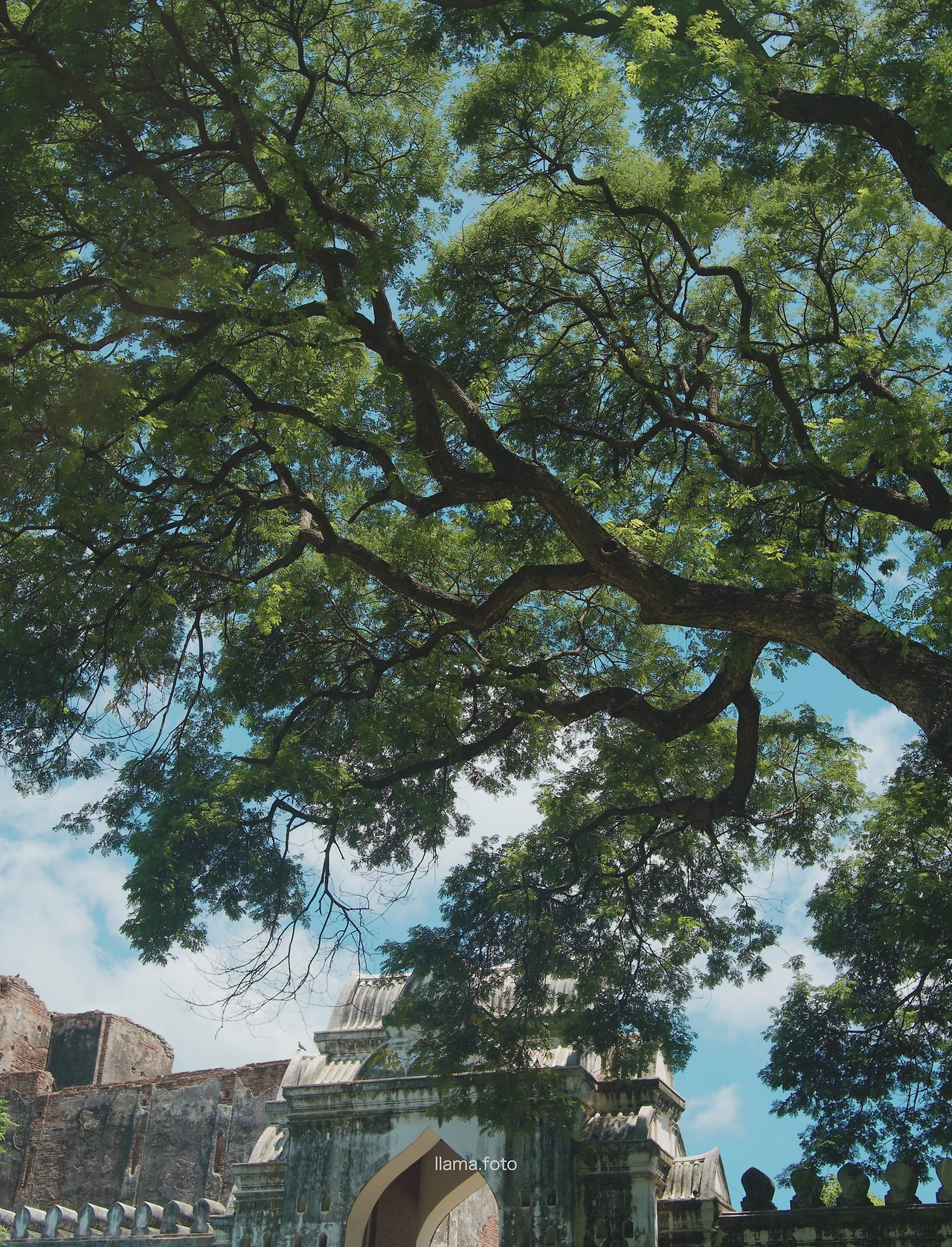 롭부리_타이로드 전용-34.JPG