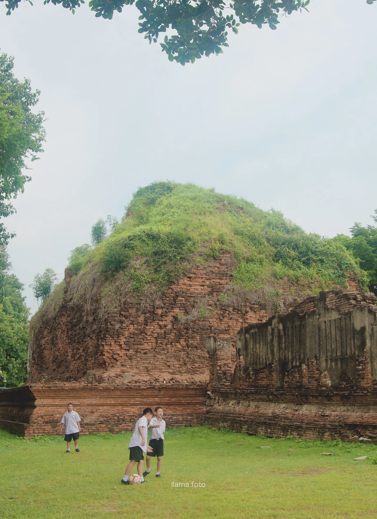 롭부리_타이로드 전용-14.JPG