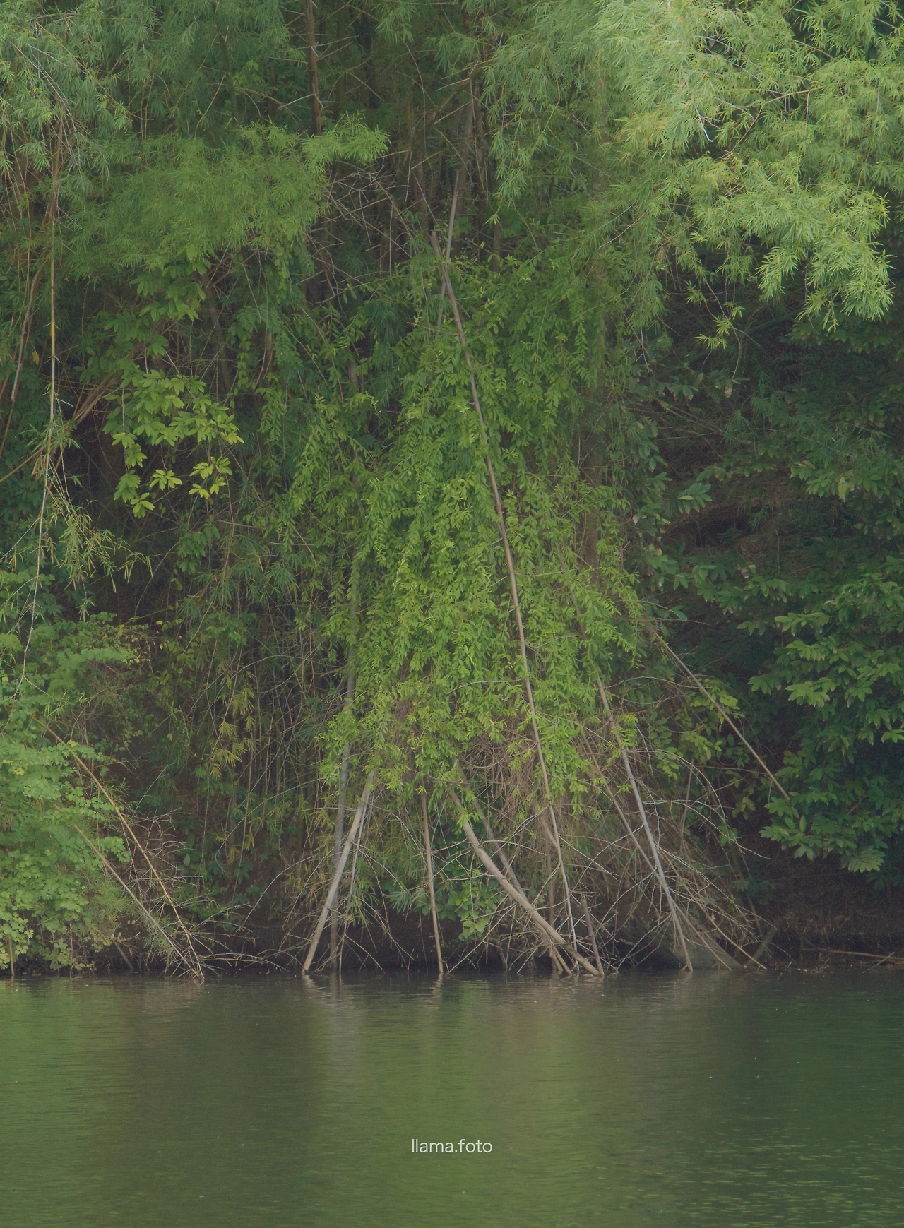 칸차나부리 타이로드 전용-51.JPG