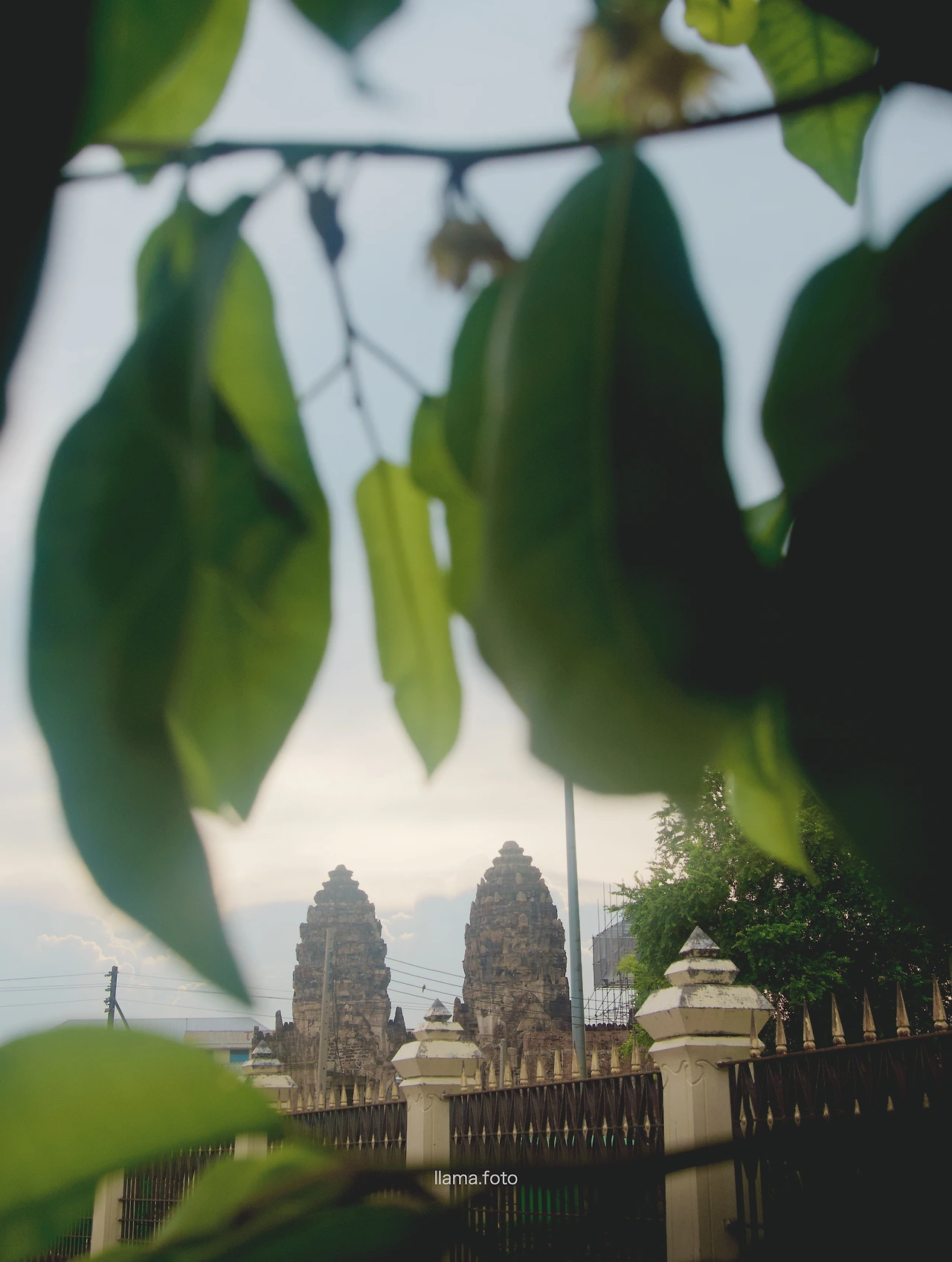 롭부리_타이로드 전용-24.JPG