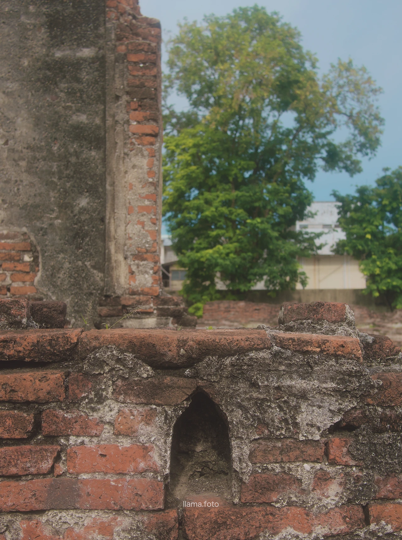 롭부리_타이로드 전용-40.JPG