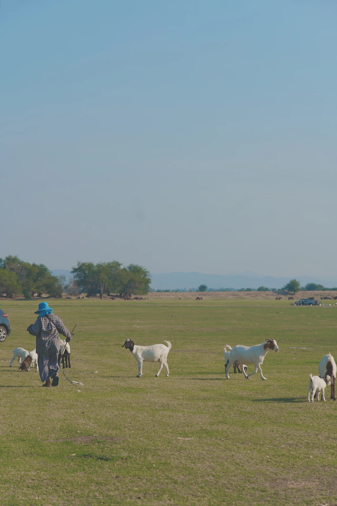 lopburi-2025-03-07-518.JPG