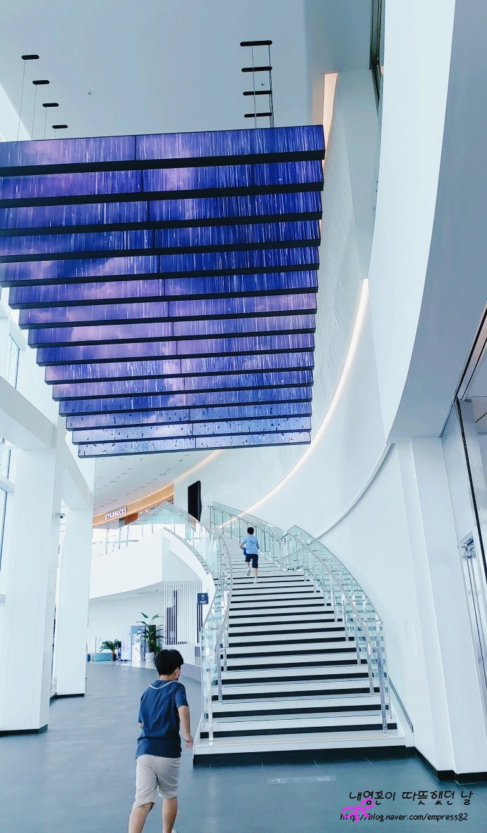 SE-5b6b4e88-8866-4ccd-89f2-7a45b3b60edf.jpg?type=w1