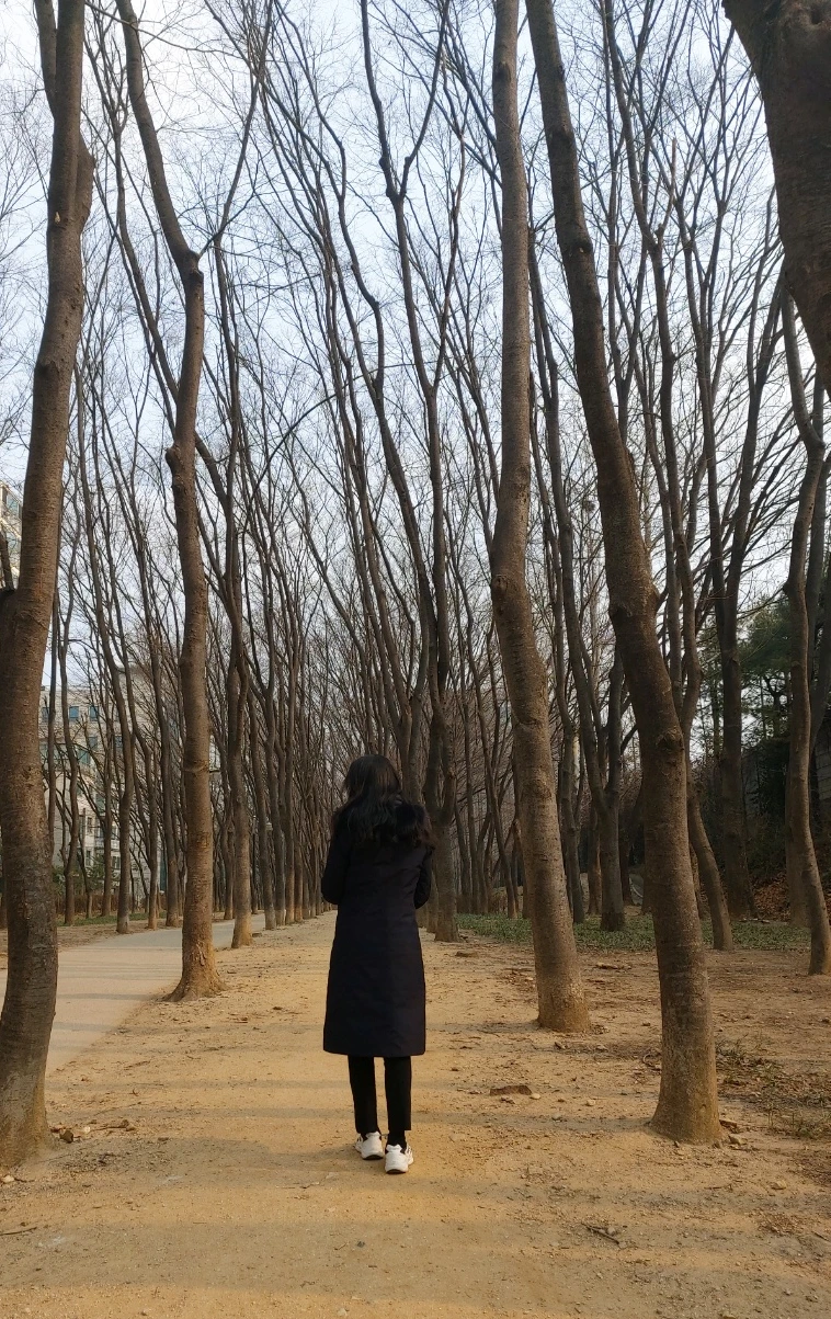 SE-79f66616-5771-4aea-bf7b-4f6e3b98f1a9.jpg?type=w773