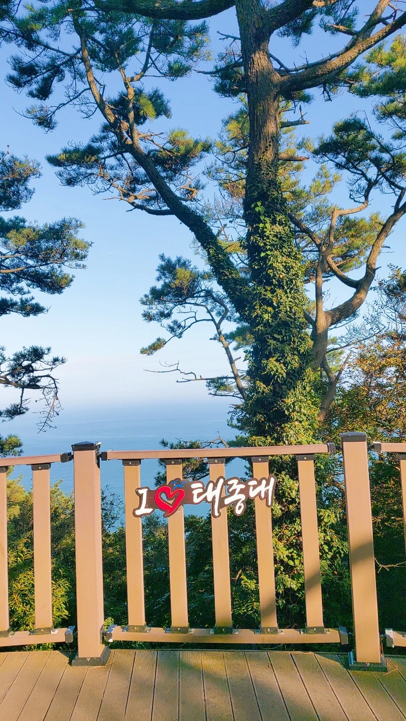 KakaoTalk_20211103_152359026_18.jpg?type=w1