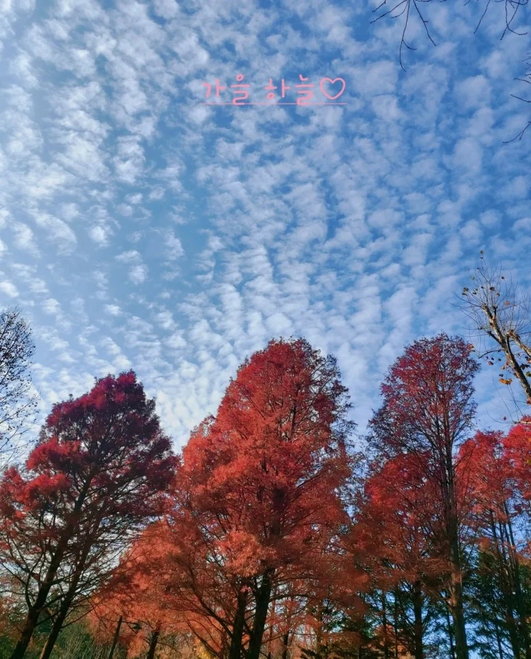 KakaoTalk_20221120_184735539.jpg?type=w773