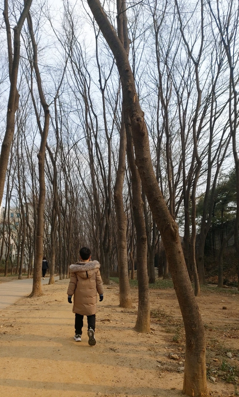 SE-bb8e6c09-e635-4903-9fc9-87d86c516818.jpg?type=w773