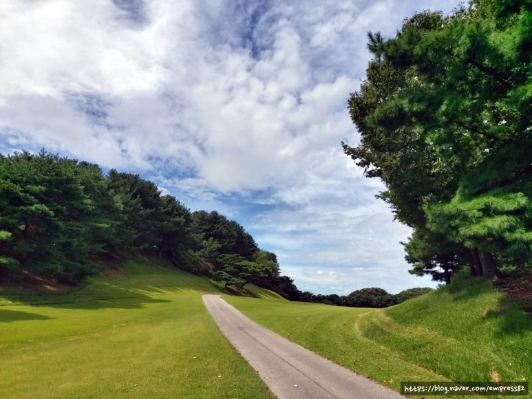 SE-1863153c-c6c9-4a66-8c0e-40f09035efa8.jpg?type=w773