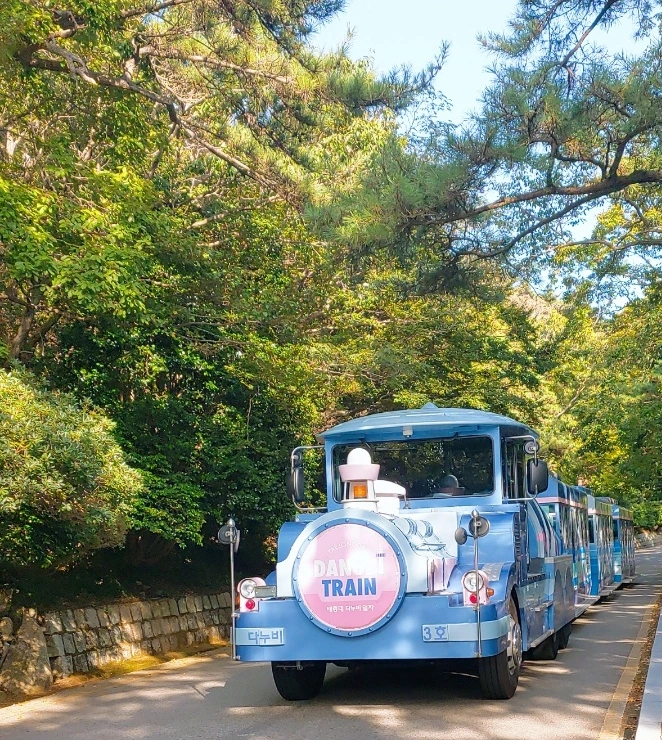 SE-b36ed95a-c7fc-47f6-b177-f21aa3d44080.jpg?type=w1