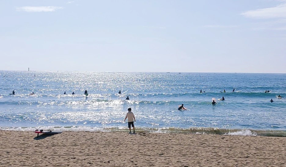 SE-e00038d0-1f3f-4a5a-9802-be9646fafc0e.jpg?type=w1