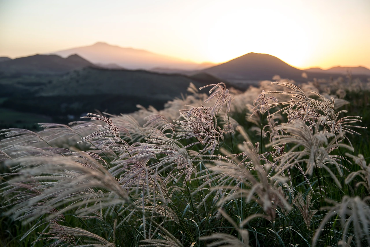 용눈이오름_김도형 (6).JPG