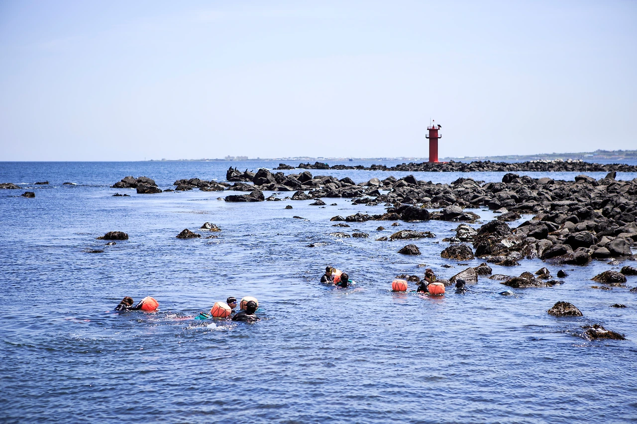 하도어촌체험마을_해녀 체험 중인 체험객들_정은주촬영 (3).JPG