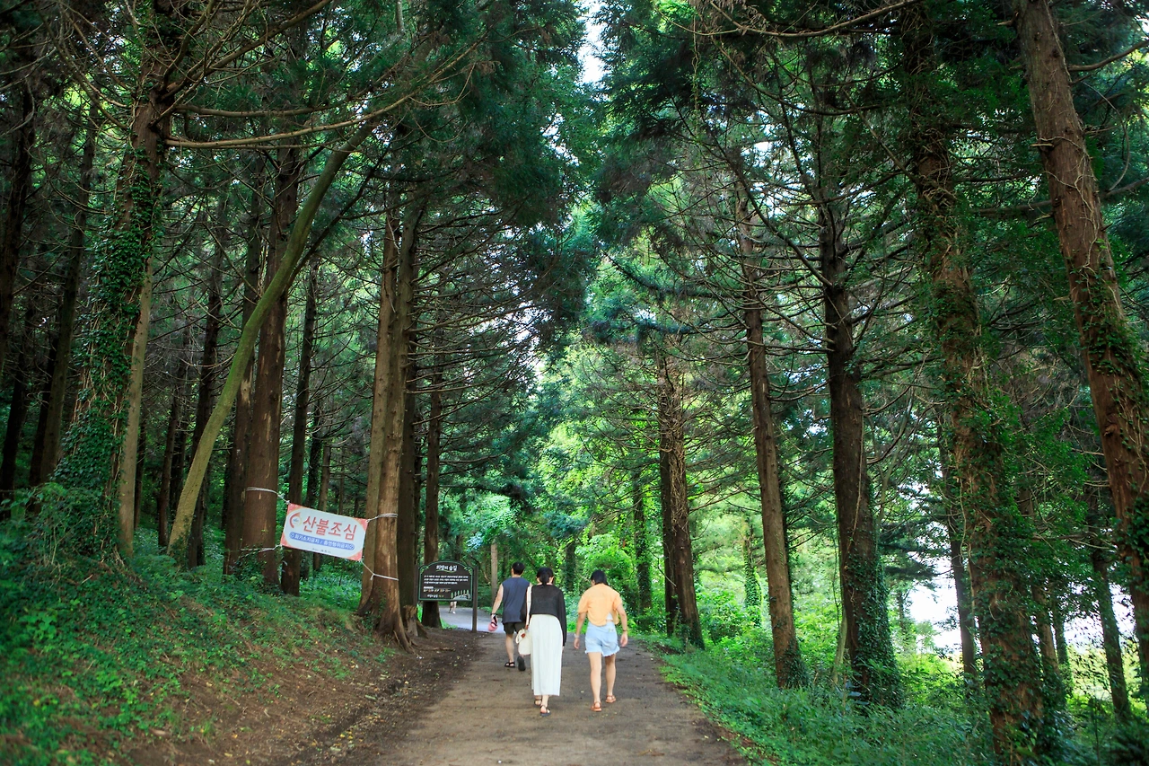 금오름_김도형 (6).JPG