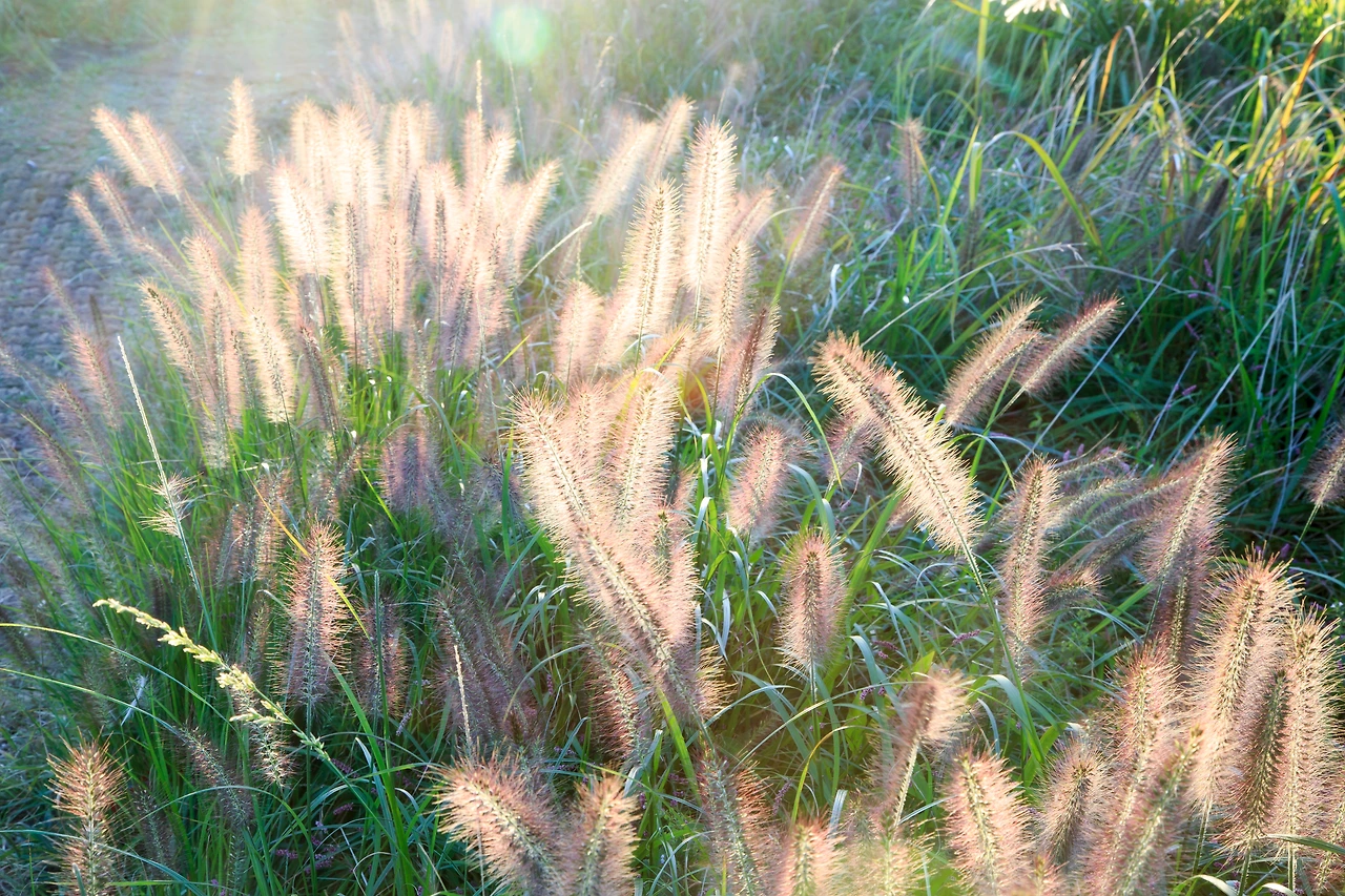 용눈이오름_김도형 (3).JPG