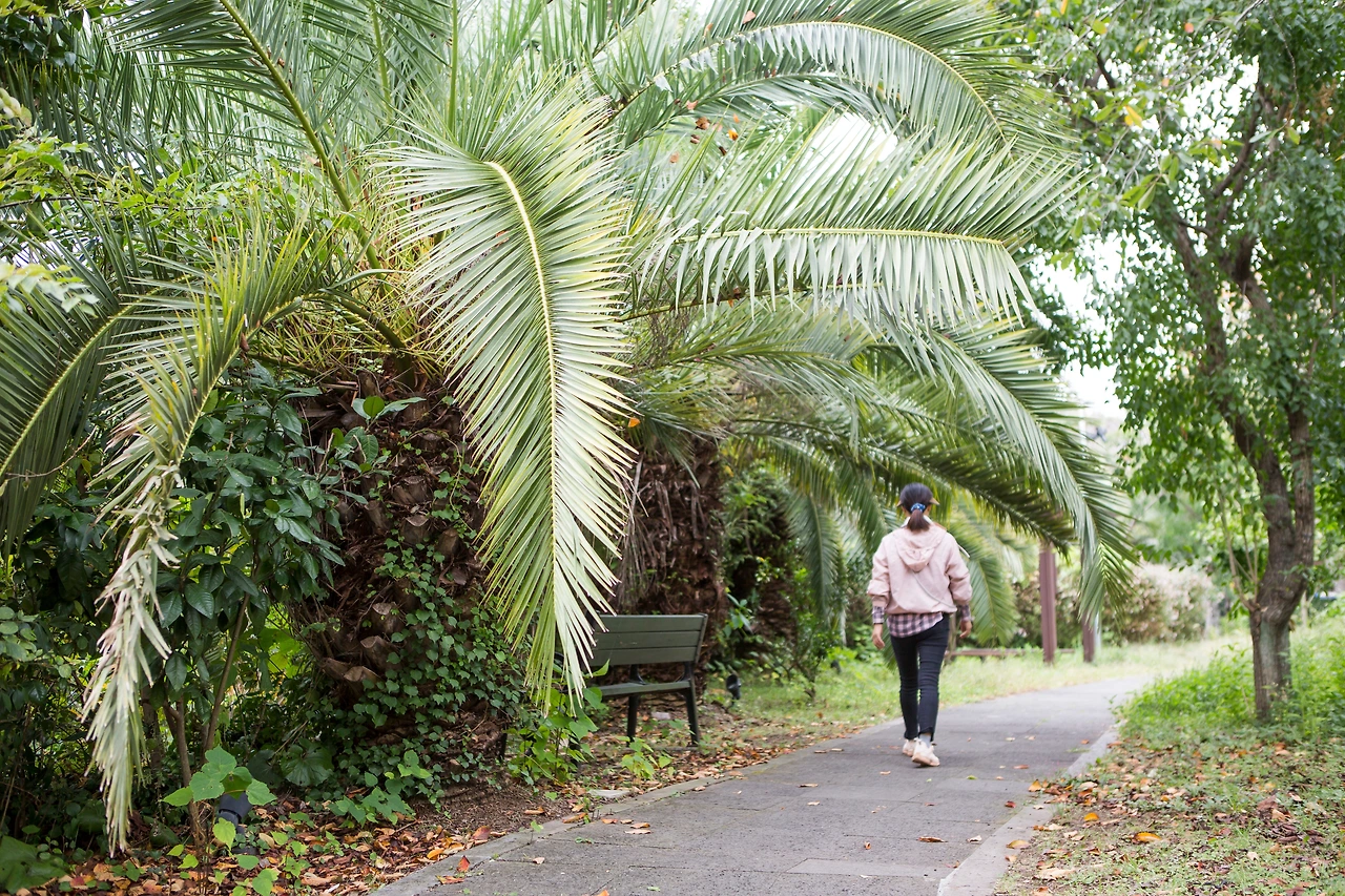 하영올레3코스_김도형 (2).JPG