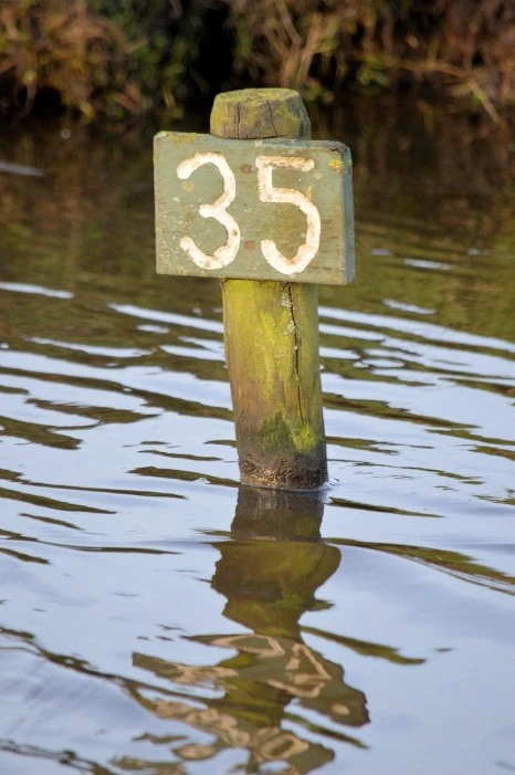 number-316025_1280.jpg?type=w466