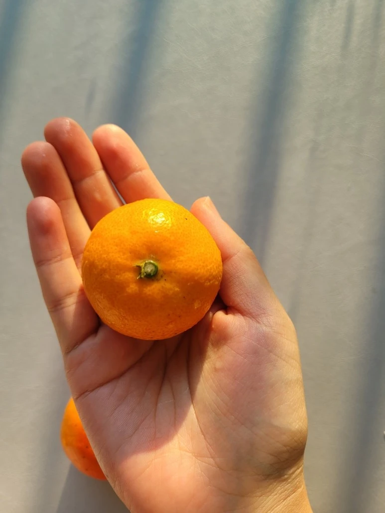 20211129%EF%BC%BF155746.jpg?type=w773