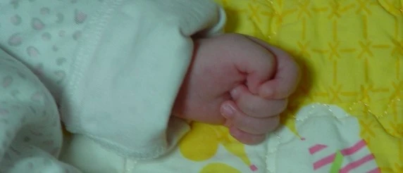 DSC09873.JPG?type=w1