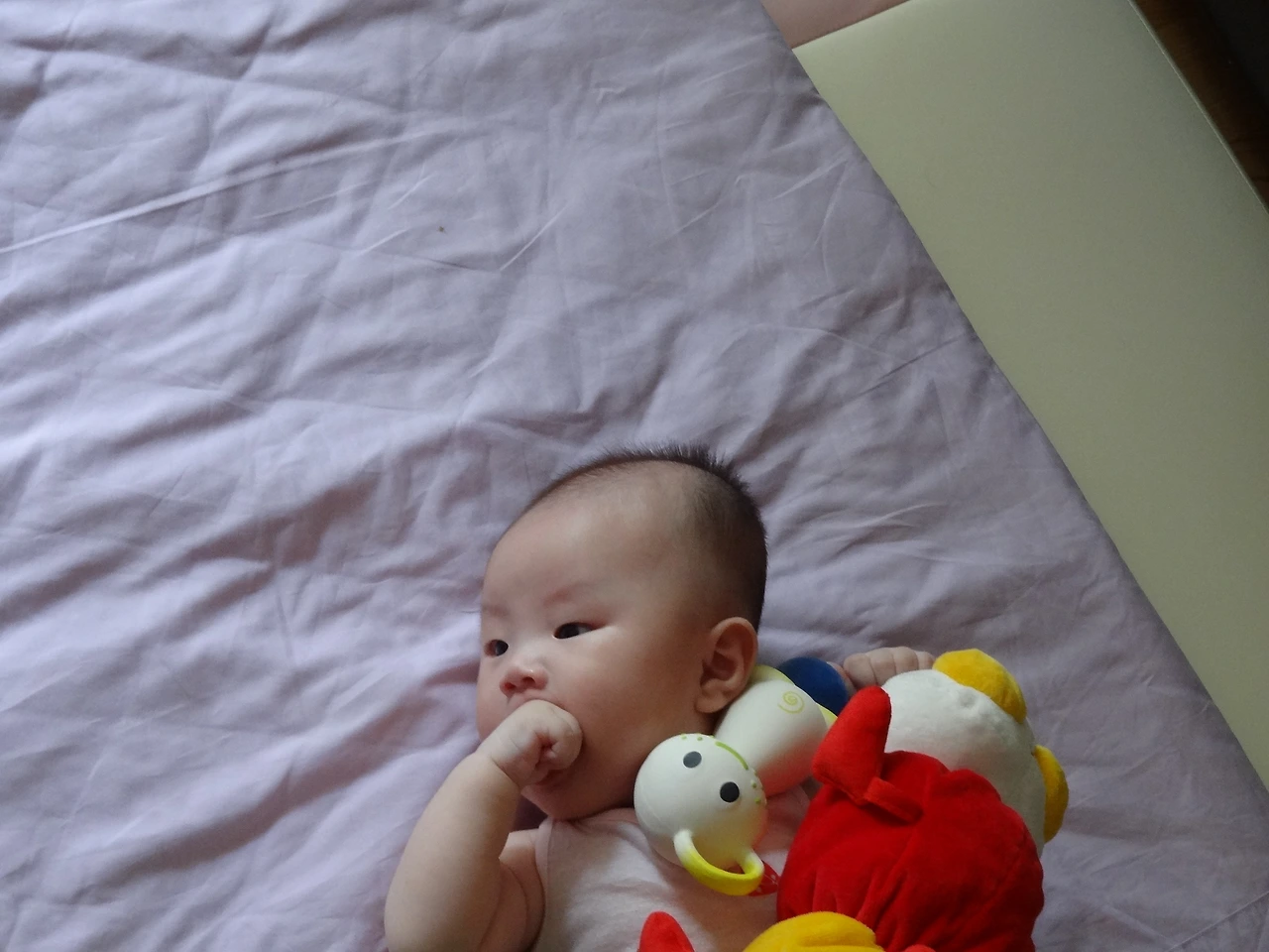 5-1505~2 - 복사본.JPG