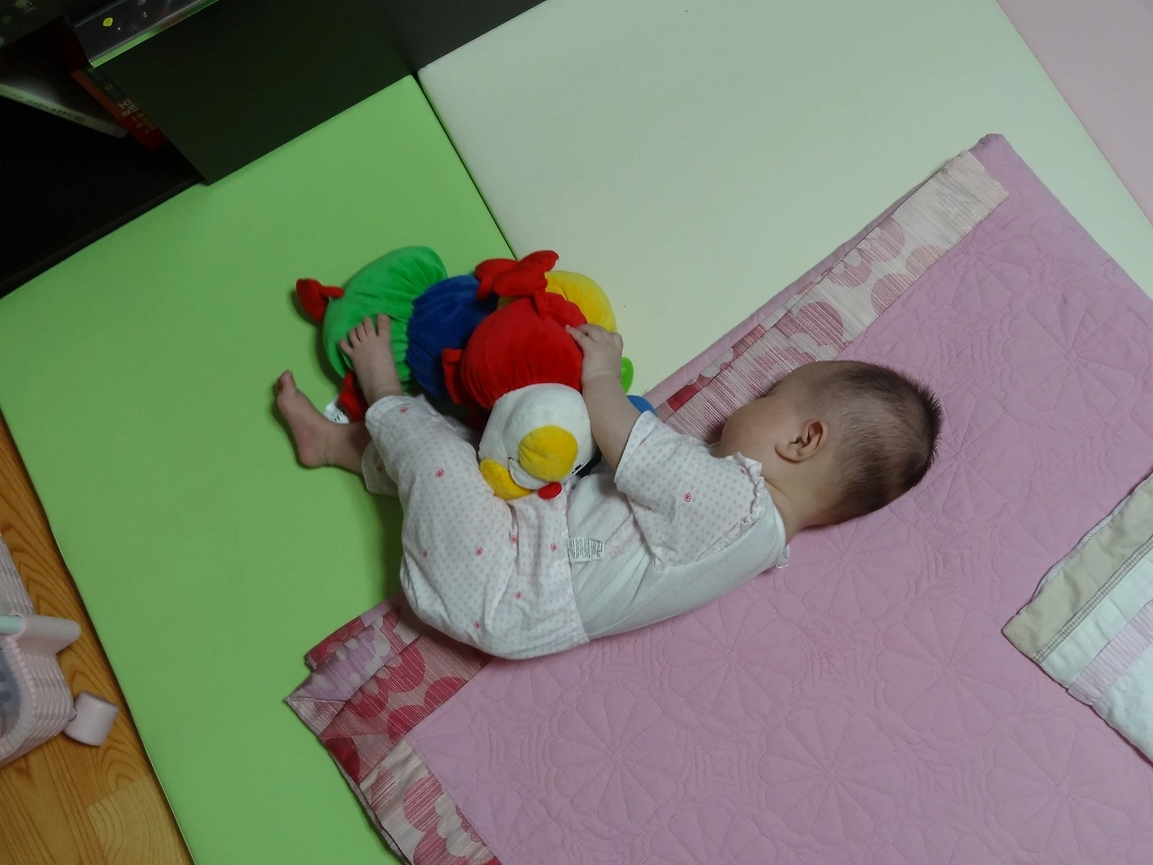 5-C253~1 - 복사본.JPG