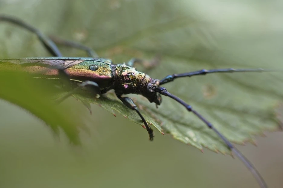 54e8d6454c51ab14f6da8c7dda79337c143adbe1534c704f752c7fd7924ccd59_1280.jpg?type=w1