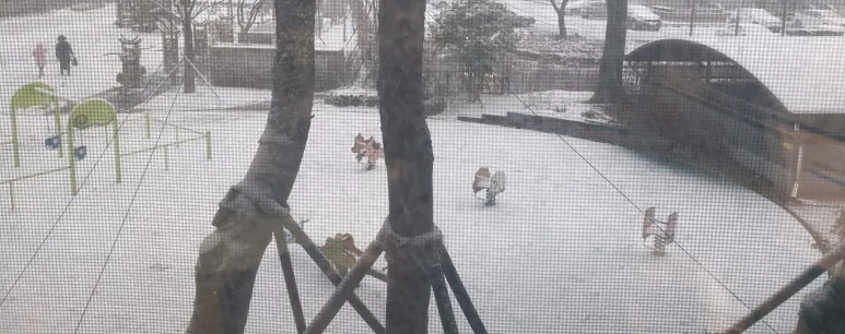 SE-661b1299-3551-47b9-9cc7-18c3f41fba9d.jpg?type=w773