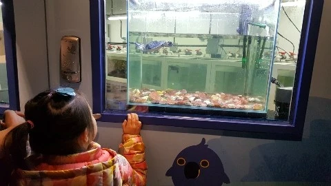 20180224_163341.jpg?type=w2