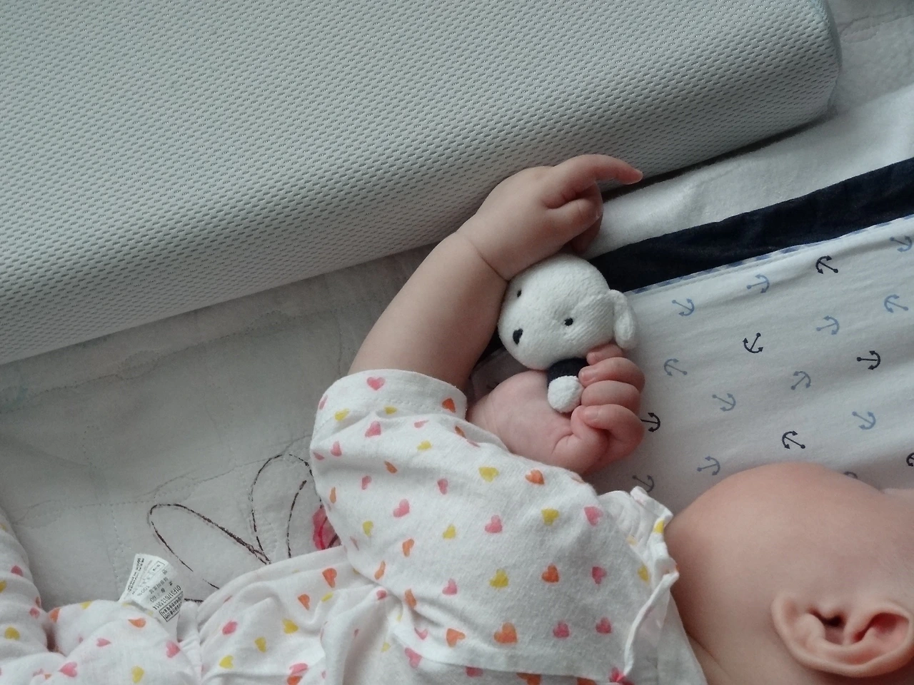 5-CE5F~1 - 복사본.JPG