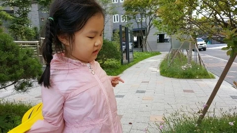 20180601_085959.jpg?type=w2