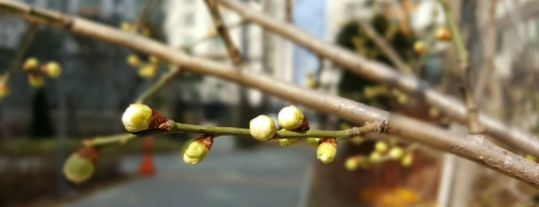 SE-dbe7983a-783c-4239-9952-66bf6e1bf93b.jpg?type=w773