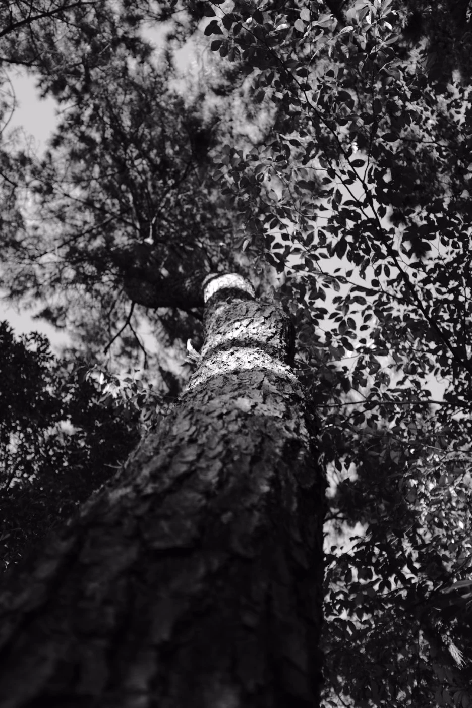 photo-1600682513821-7f26881be087.jpg?type=w1