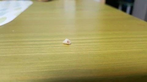 20180712_213743.jpg?type=w2