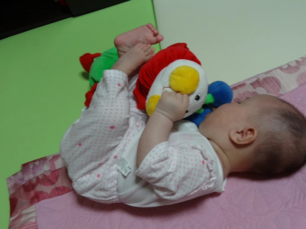 5-C257~1 - 복사본.JPG