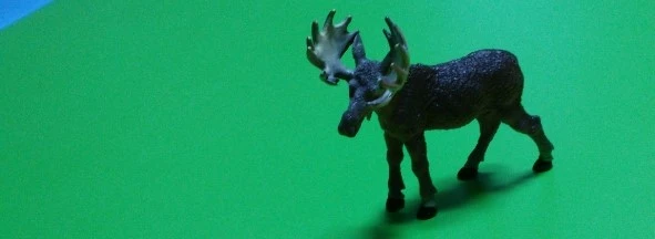 20151222_092117.jpg?type=w1