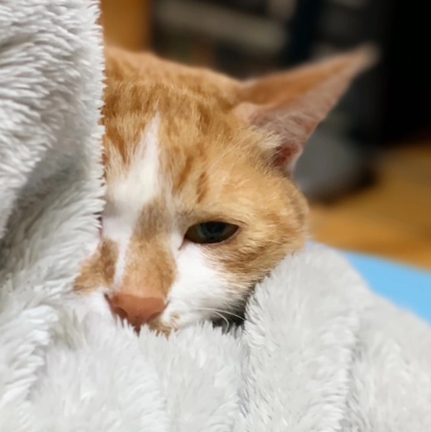 다운로드 (1).jpeg