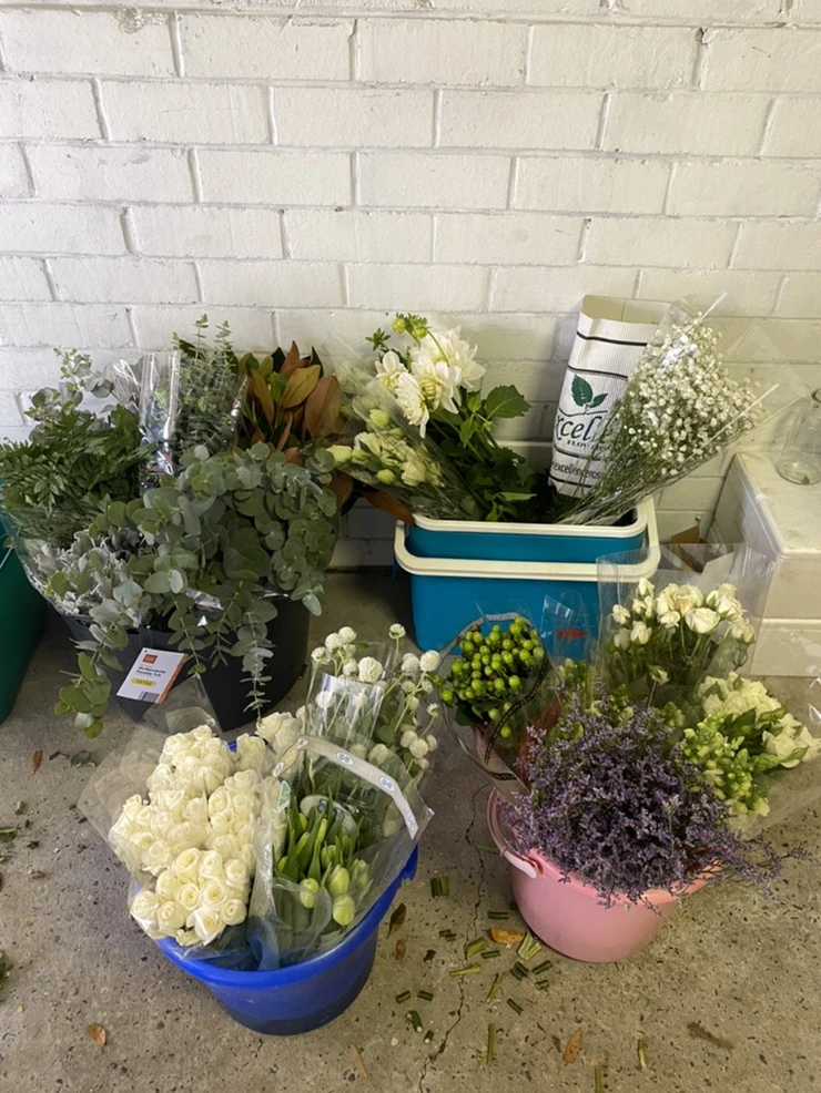 IMG_2411.jpg?type=w1