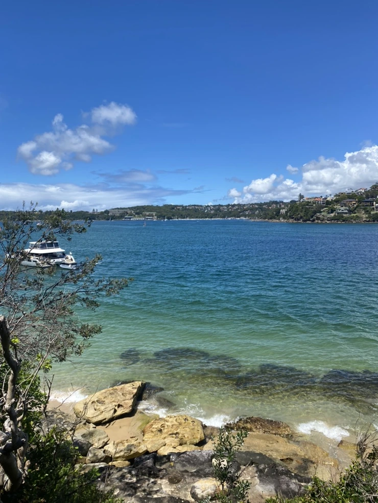 IMG_2367.jpg?type=w1