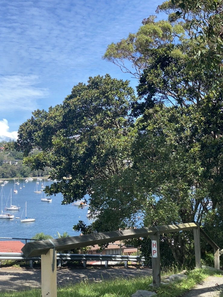 IMG_2373.jpg?type=w1