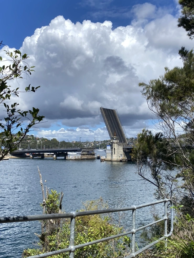 IMG_2365.jpg?type=w1