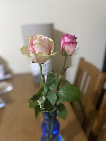 30FD9E51-B79E-45B9-99A3-F35A1EF3DC3B_1_201_a.jpeg?type=w1