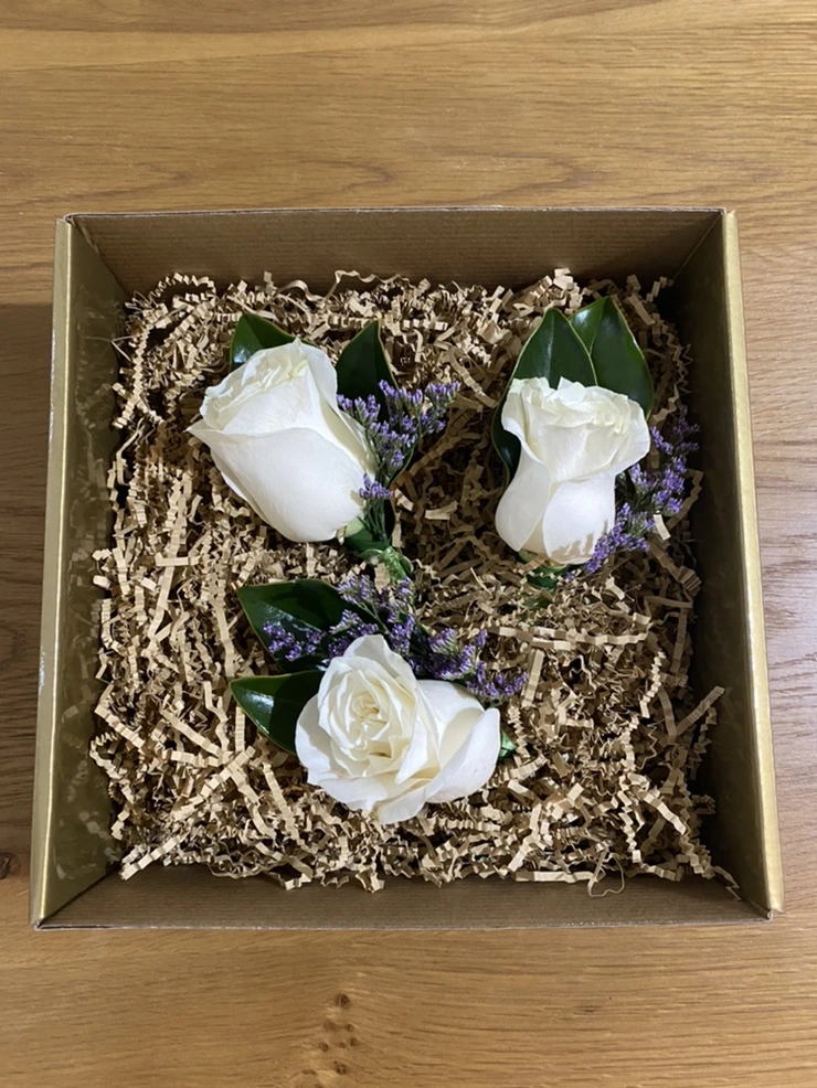 IMG_2419.jpg?type=w1