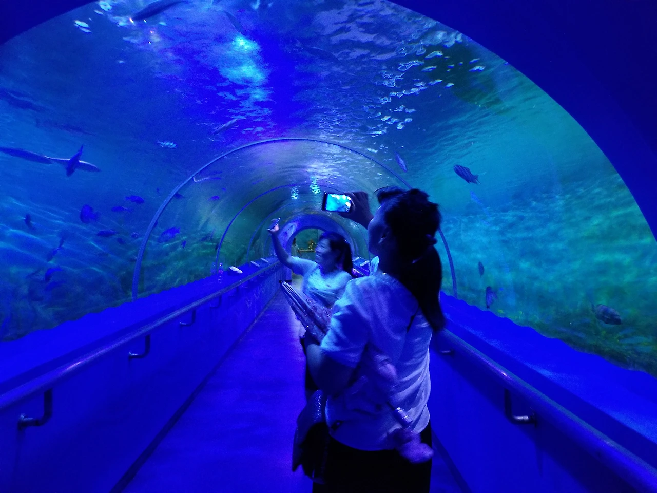 ts_cjobM_sapaROiujvMsvEYuDkF9ht8m_QmmpJwbfL6hs4eJkhKjoNwiHMmO1-XYaJ_aHh2JkfVnUjIwp1IK9wL-1ISfAI4j6vUloAXnwKRFOy-h1KvDXnrmK1IaYwlL67vJaLz