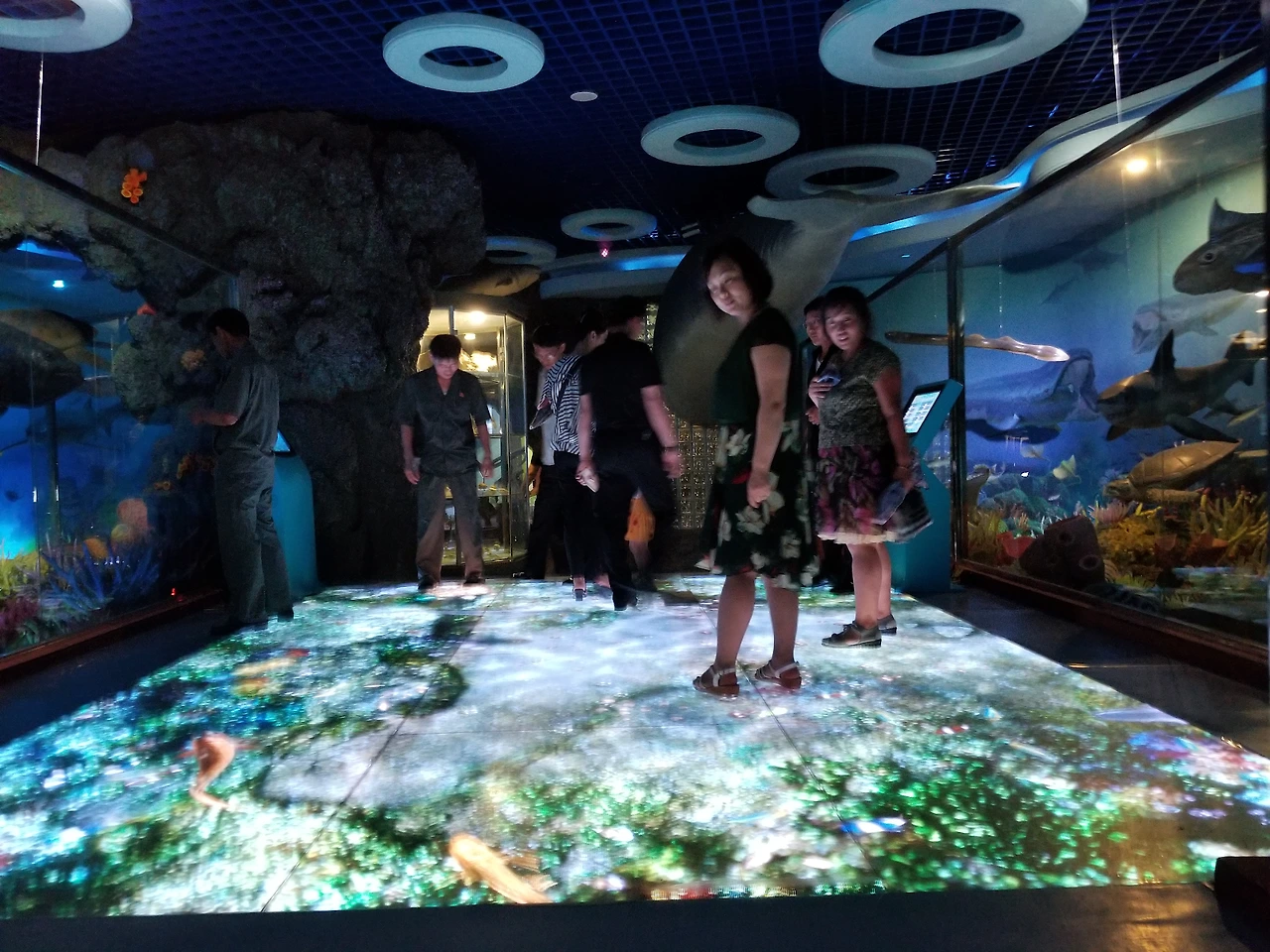 MliNX0NnmN0qShHx3bix5IDmPc7mMQkKw3Ns2DrsOXO5YDHQaLjZLicPo3Conotk8FIpMcB_e9JCzPd2Fnspxk_3Ub3MGPyk9oSYPFOrBEyvJQP8_N62BOcuUqD5CeRLCat1fJK4