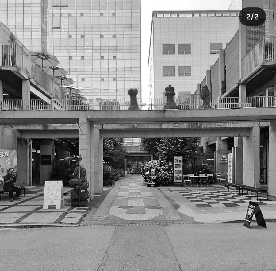 900%EF%BC%BF1754440458397.jpg?type=w966